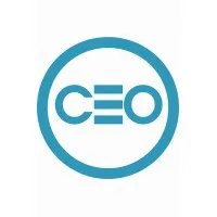 CEO Engineering Consultancies