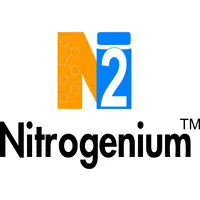 NITROGENIUM INNOVATIONS & FILTERATION INDIA PVT. LTD. NITROGENIUM INNOVATIONS & FILTERATION INDIA PVT. LTD.