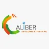 Caliber IT Solutions Inc Caliber IT Solutions Inc