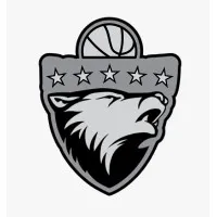 Dominant Basketball Academy