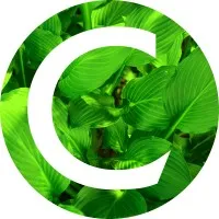 Office of Sustainability, Concordia University