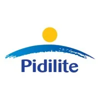 Pidilite Industries Limited email format