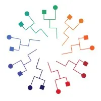 The Language Network The Language Network