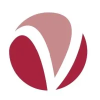 VectraTech Global