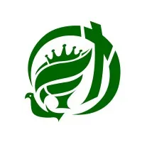 LIVING STONES FOUNDATION