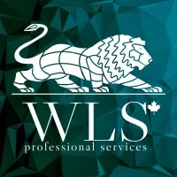 WLS Professional Services
