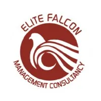 Elite Falcon Management Consultancy