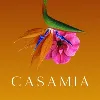 Casamia Dubai Casamia Dubai