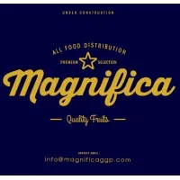 Magnifica General Goods Procurement