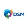 DSM DSM