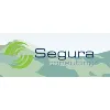 Segura Consulting