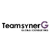 TeamsynerG Global Consulting TeamsynerG Global Consulting