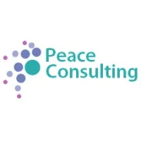 Peace Consulting Peace Consulting