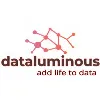 dataluminous dataluminous