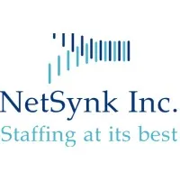 Netsynk Inc