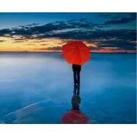 Creative Mind & Design LLC