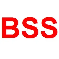 Al Bashaer Security & Safety