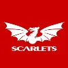 Scarlets Rugby Scarlets Rugby