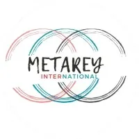 METAREY INTERNATIONAL