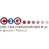 C2G/CIVIL CONSULTANTS GROUP INC C2G/CIVIL CONSULTANTS GROUP INC