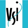 VSI Risk Management & Ergonomics, Inc.