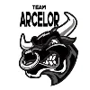Team Arcelor