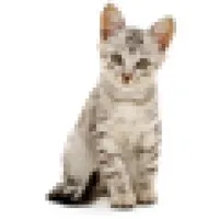 Dunnellon Animal Hospital