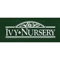 Ivy Nursery Inc