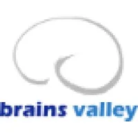 Brains Valley