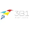 3B1 Partners LLC 3B1 Partners LLC
