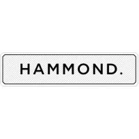 Hammond & Associates LLC