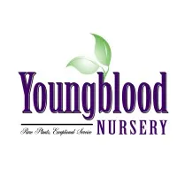 Youngblood Nursery Inc