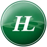H&L Auditores Consultores H&L Auditores Consultores