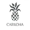 Cariloha, Inc. Cariloha, Inc.