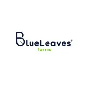 BlueLeaves Farms