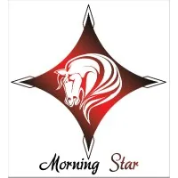 Morning Star Enterprises Morning Star Enterprises