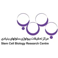 Stem Cell Biology Research Center, Yazd Reproductive Sciences Institute, SSU, Yazd, Iran
