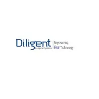 Diligent Computer Systems LLC