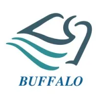 Buffalo Business Group S.A.S.