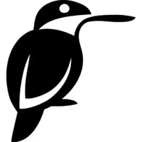 Kōtare Group Limited