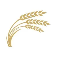 Southern Plains Insurance Group