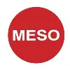 MESO PRIVATE LIMITED MESO PRIVATE LIMITED
