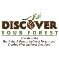 Discover Your Forest