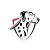 Valiant Fire Co. Valiant Fire Co.