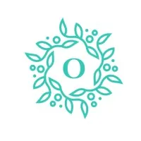 Onset Consulting LLC