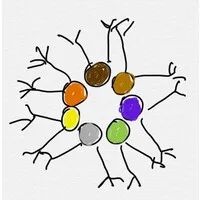 HRNeuro