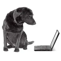 PlanetMagpie IT Support PlanetMagpie IT Support