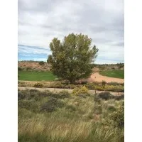 Dynamic Business Solutions, LLC 