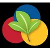 Primary Color LLC