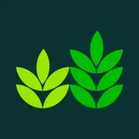 Reestify - Your Digital Partner